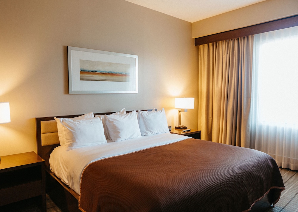 Suite, 1 Bedroom - Photo 2