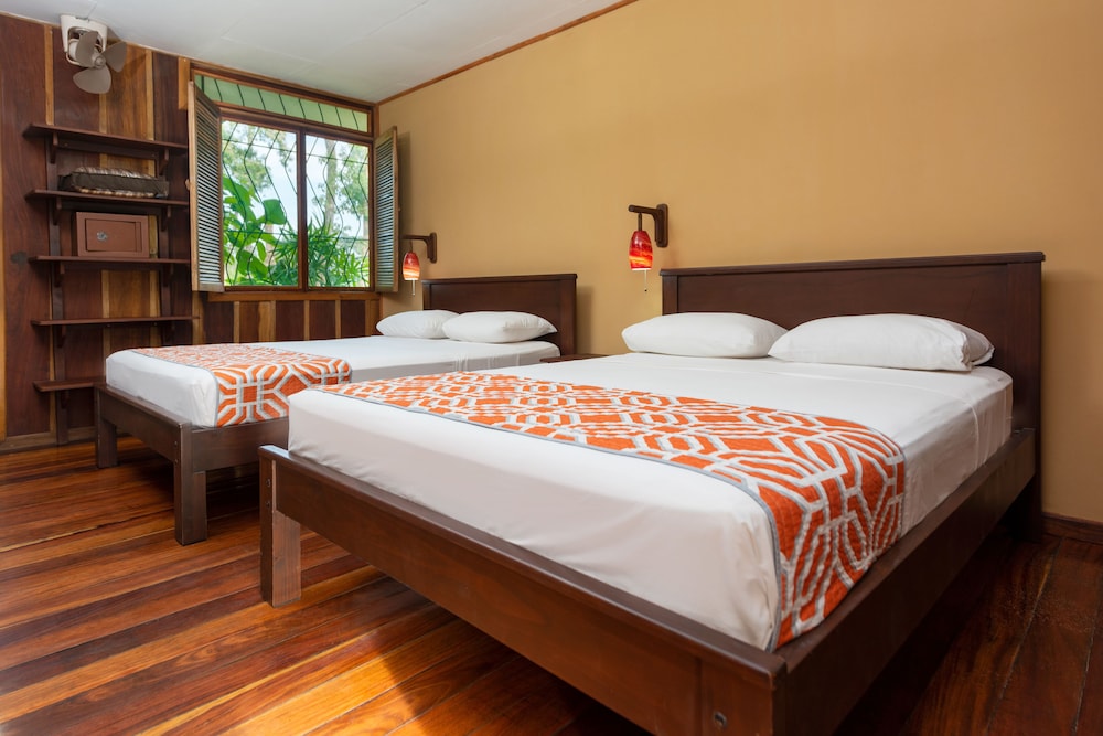 Standard Room + Tours + Transfer In/Out San Jose photo 1