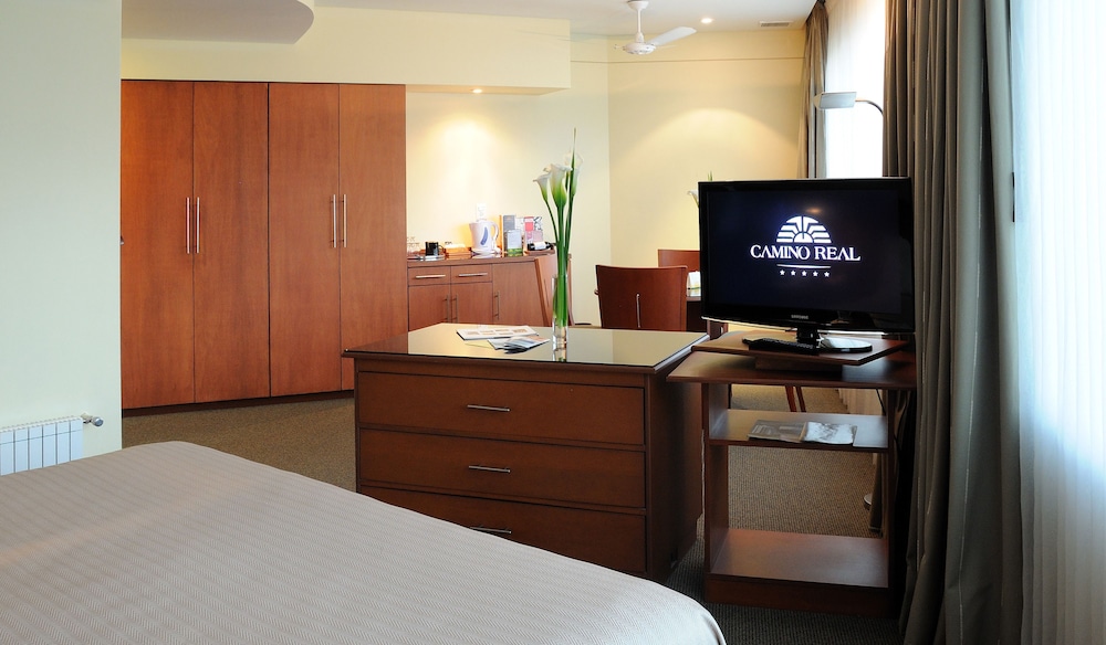 Suite, 1 King Bed - Photo 4
