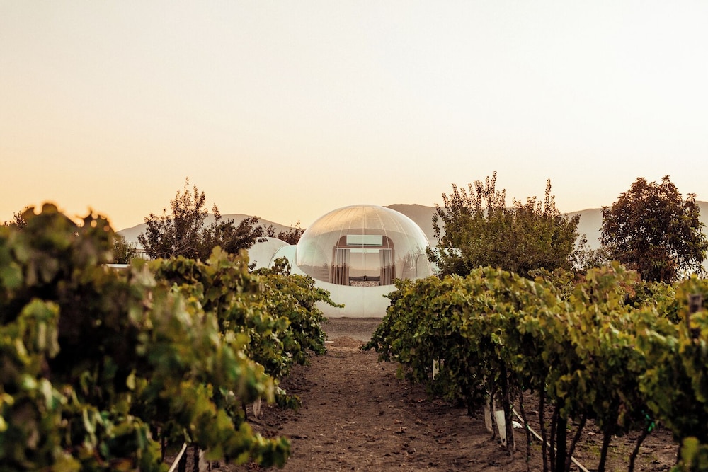 Standard Room, Patio, Vineyard View