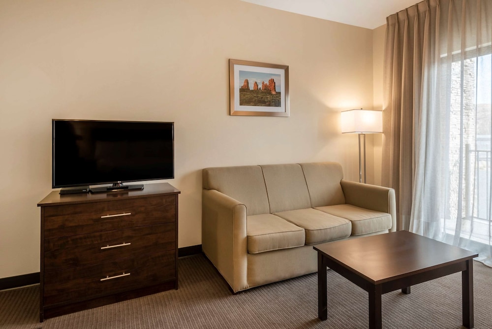 Suite, 1 King Bed with Sofa bed, Accessible, Non Smoking (Efficiency)