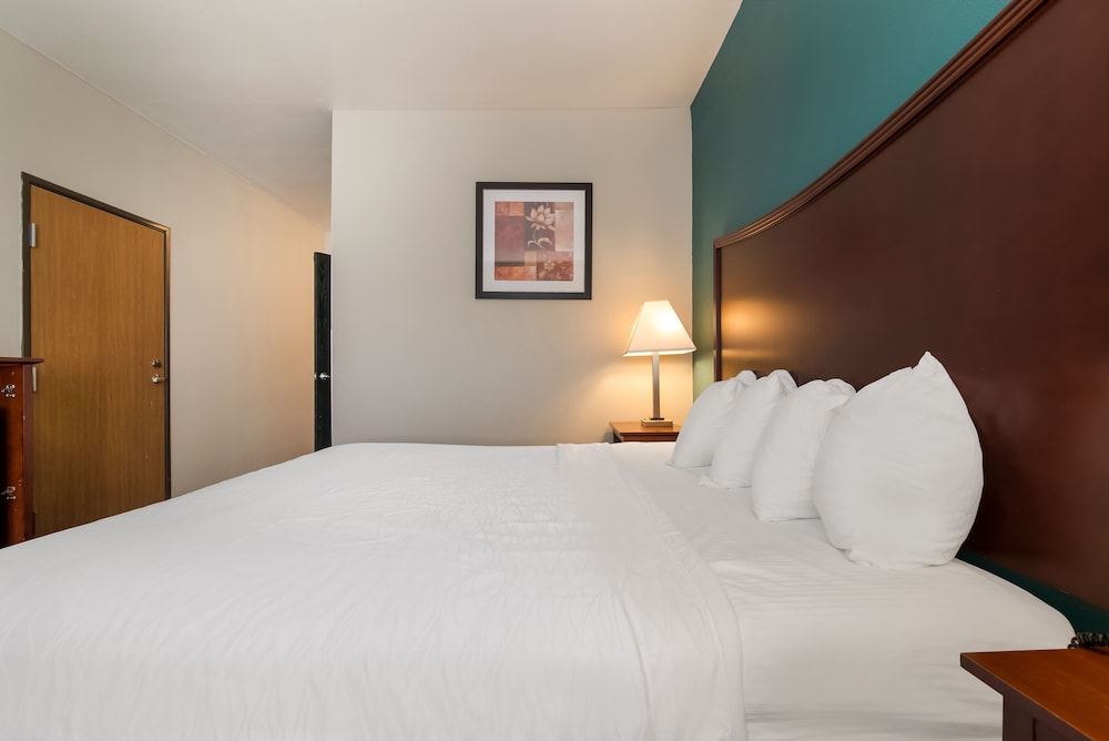 Standard Room, 1 King Bed, Non Smoking, Refrigerator & Microwave (Small Room) - Photo 3
