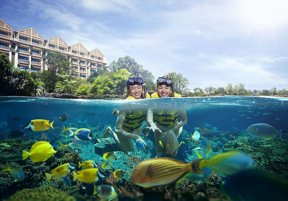 3D2N Waves of Fun - Deluxe Room with comp One-Day Tickets for 2 Adults to Adventure Cove Waterpark photo 2