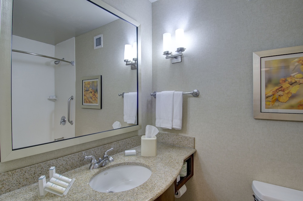 Room, 1 King Bed, Accessible (Roll-in Shower) - Photo 6