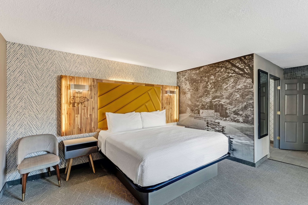 Room, 1 King Bed, Accessible, Non Smoking (Mobility, Roll-In Shower) - Photo 2