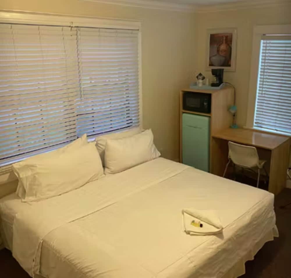 Superior Single Room, 1 King Bed, Non Smoking, Refrigerator & Microwave photo 1