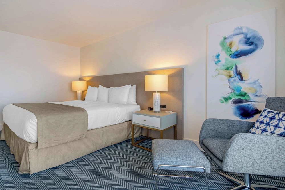 Standard Room, 1 King Bed, Non Smoking photo 1