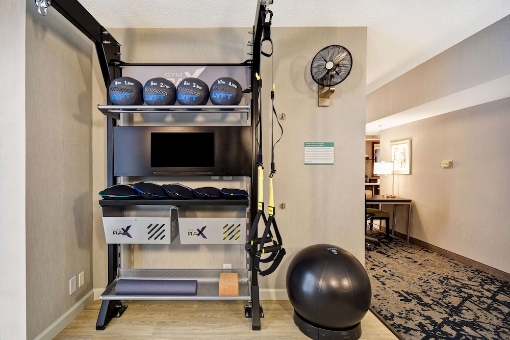 Suite, 1 King Bed, Accessible (Fitness Suite W/ Trx - Chin Up Bar) - Photo 4