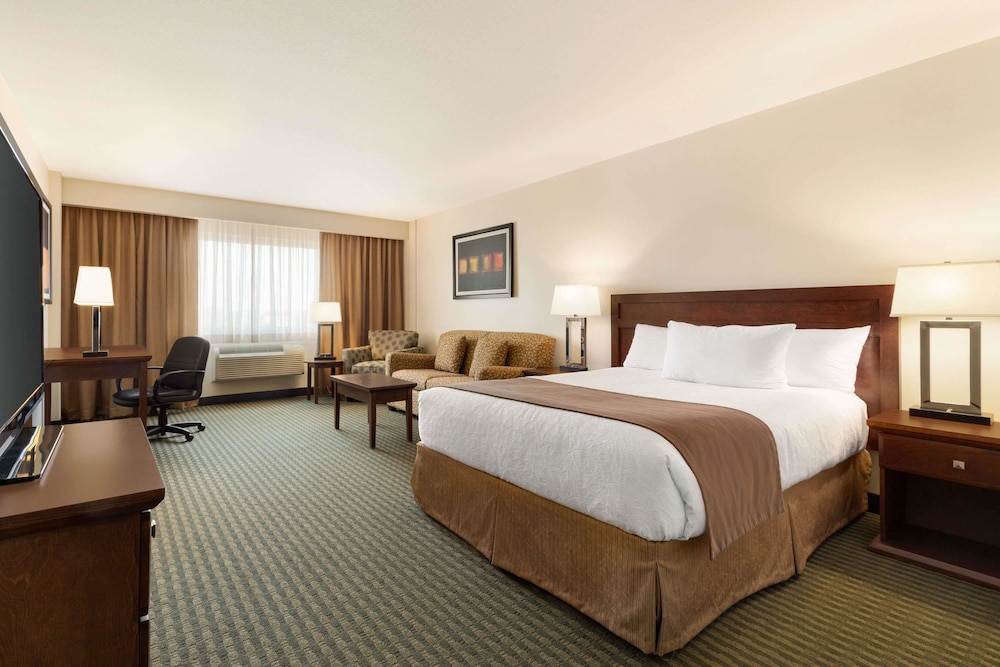 Business Room, 1 King Bed photo 3