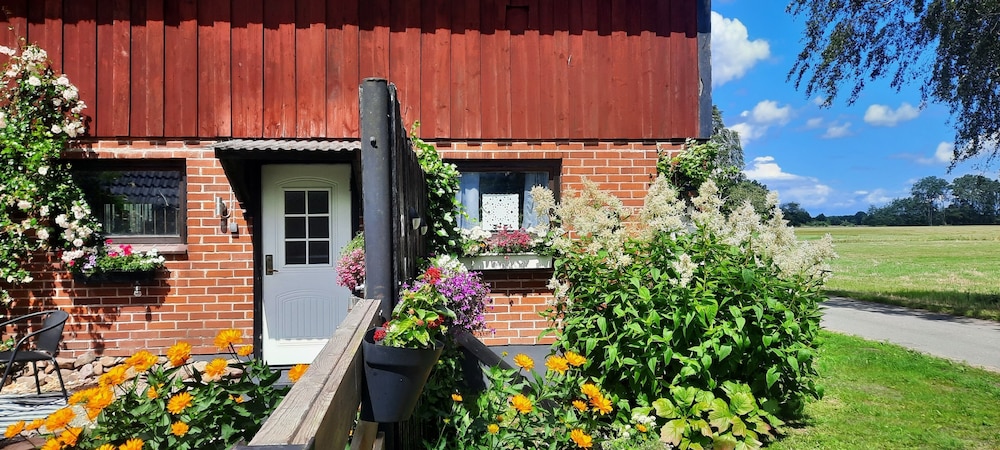 House photo 3