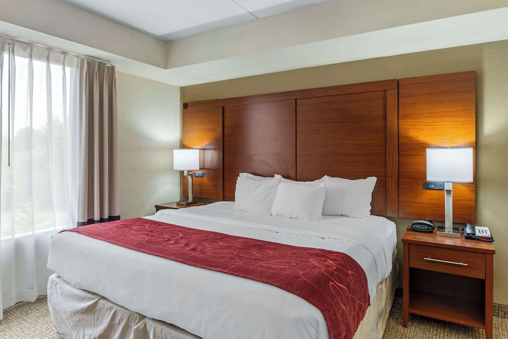 Premier Suite, 1 Bedroom, Non Smoking, Jetted Tub (King Bed and Sofa Bed) photo 1