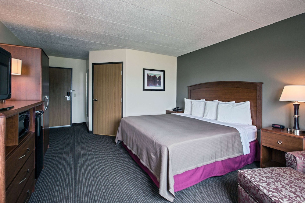 Deluxe Suite, 1 King Bed, Non Smoking photo 2