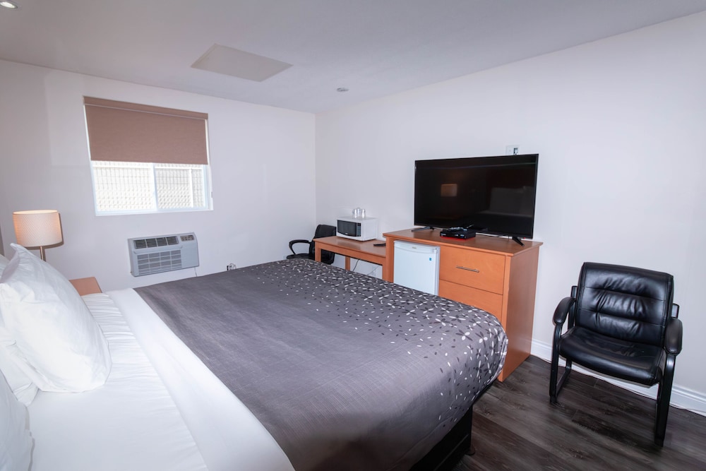 Traditional Room photo 3