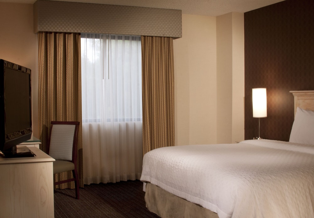 Suite, 1 King Bed, Accessible (Roll-In Shower) photo 2