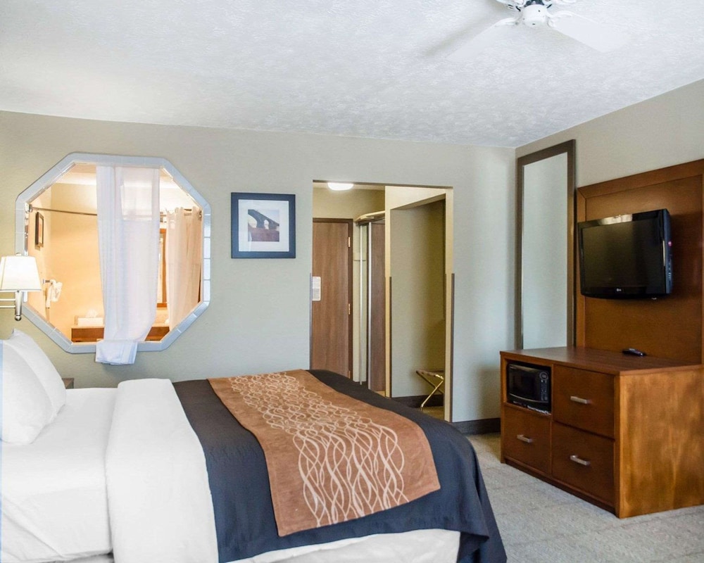 Standard Room, 1 King Bed, Non Smoking photo 3