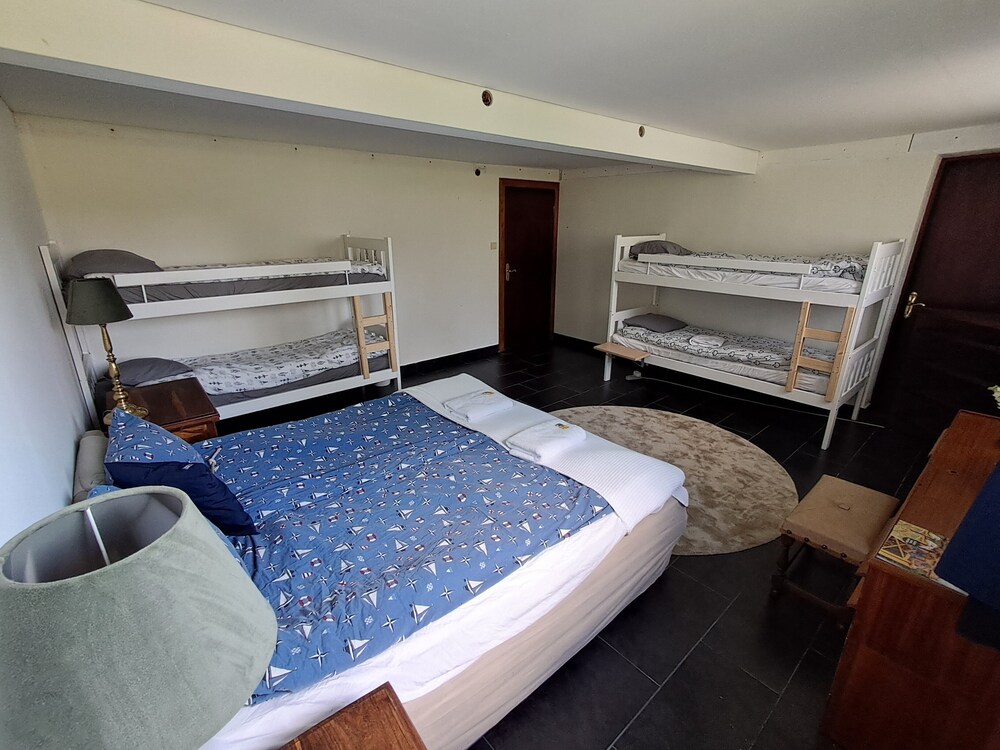 Family Quadruple Room, Multiple Beds, Pets Allowed photo 2