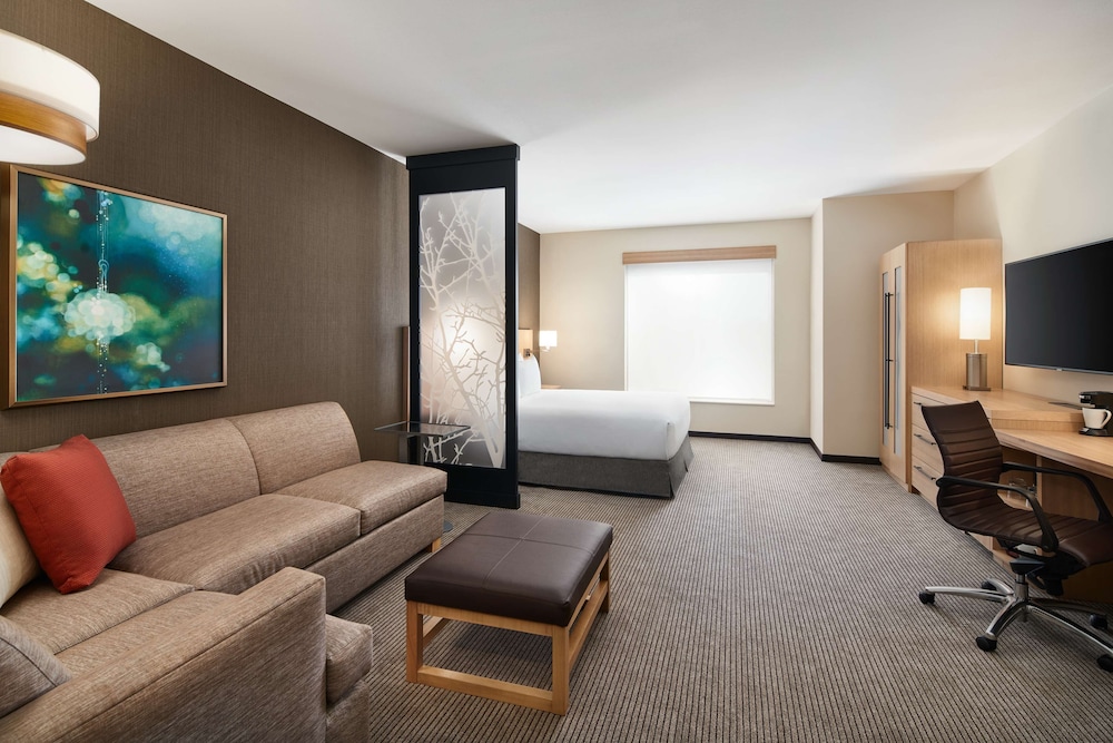 Room, 1 King Bed with Sofa bed, Accessible (with Shower) - Photo 2