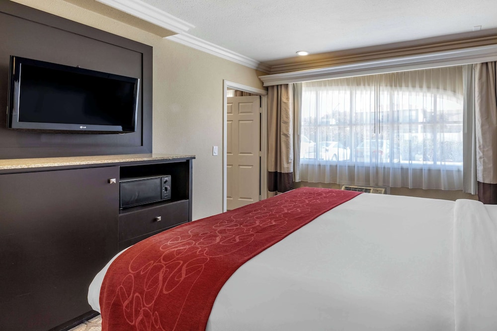 Suite, 1 King Bed with Sofabed, Non Smoking - Photo 5