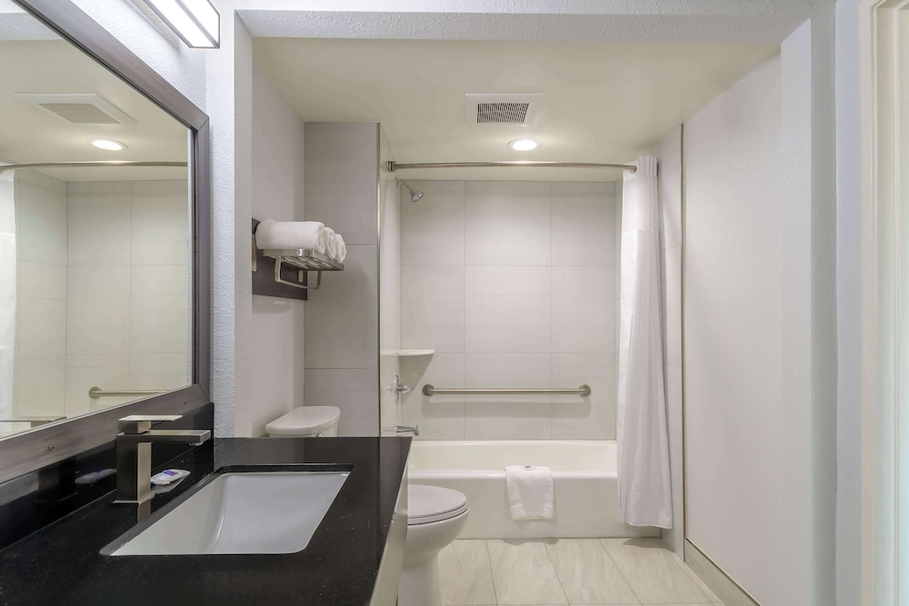 Standard Suite, 1 King Bed, Accessible, Non Smoking - Photo 9