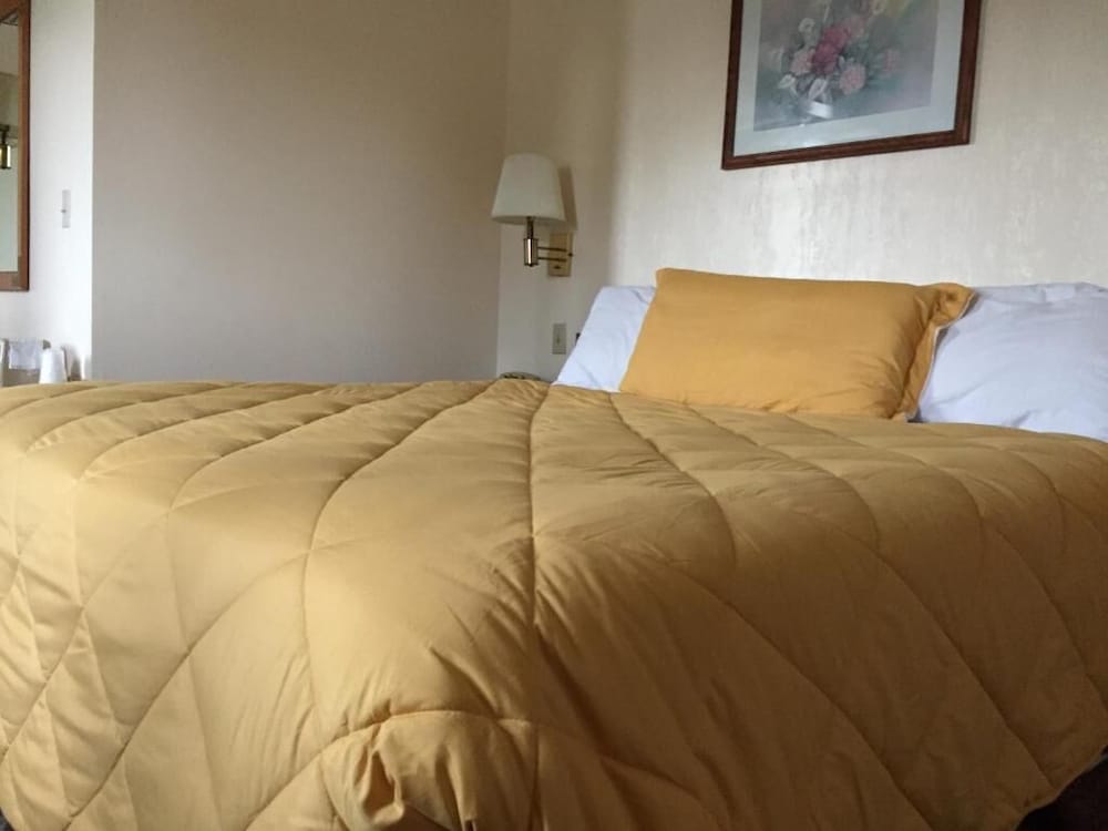 Standard Single Room, 1 Queen Bed - Photo 8