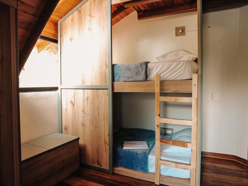 Comfort Shared Dormitory photo 2