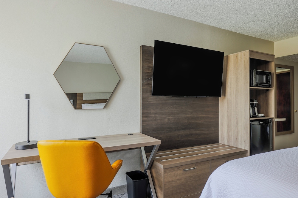 Room, 1 King Bed, Non Smoking (Leisure) - Photo 7