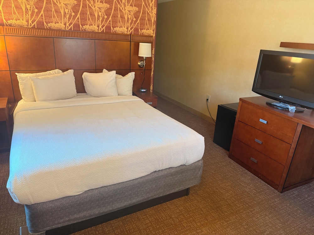 Deluxe Single Room photo 2