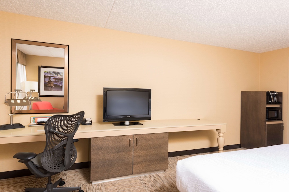 Room, 1 King Bed (Connecting Rooms) photo 2