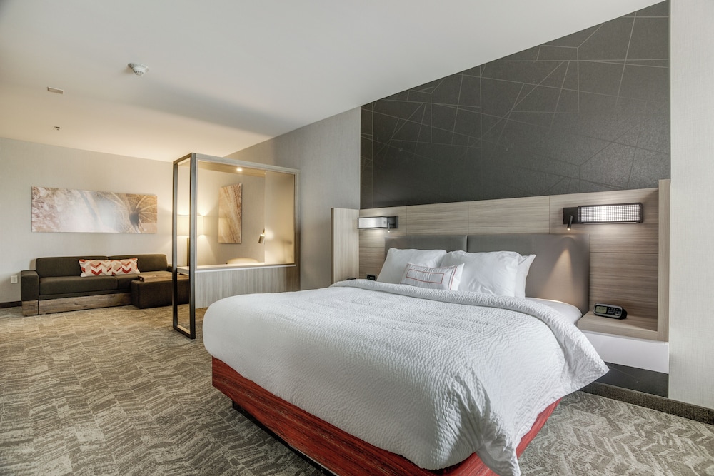 Suite, 1 King Bed with Sofa bed (Hearing Accessible) photo 3