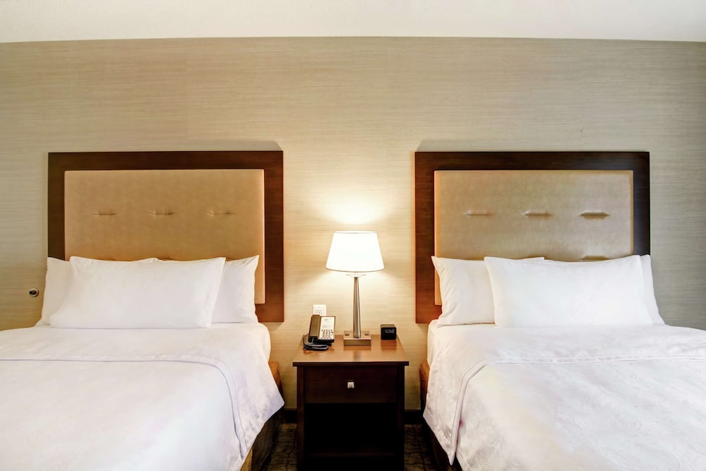 Suite, Accessible, Non Smoking (Hearing accessible) photo 1