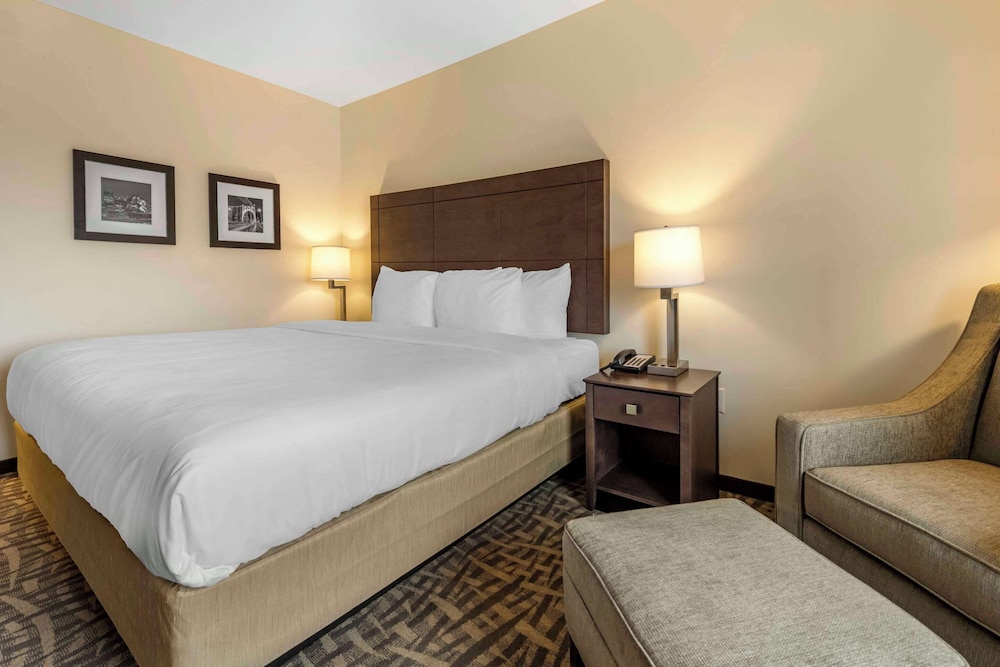 Room, 1 King Bed, Accessible, Non Smoking (Roll-In Shower) - Photo 2