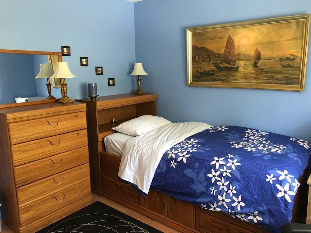 Comfort Single Room, 1 Twin Bed, Courtyard View photo 1