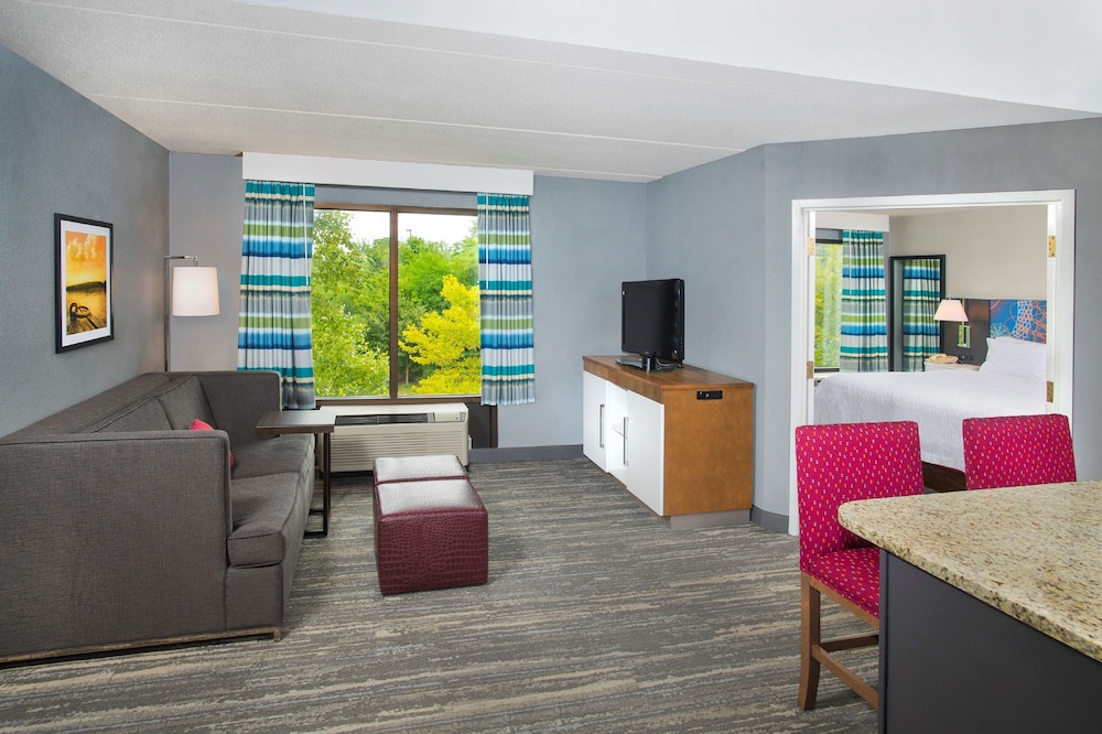 Suite, 1 Bedroom, Accessible, Kitchen (Roll-in Shower) - Photo 3
