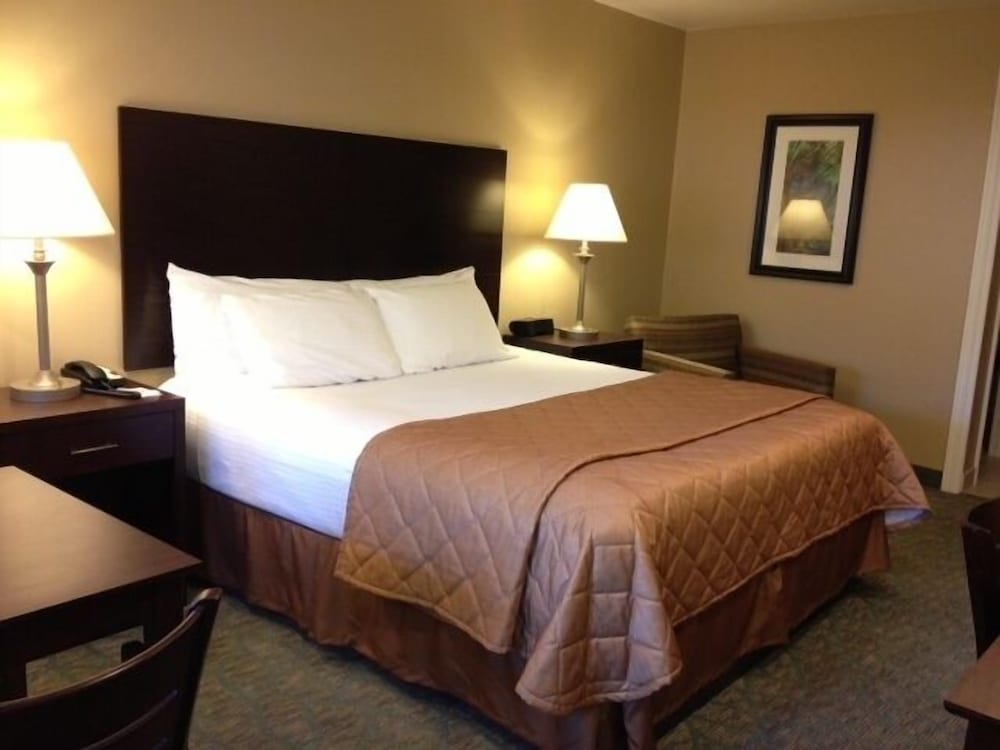 Inn: 1 King Bed photo 1