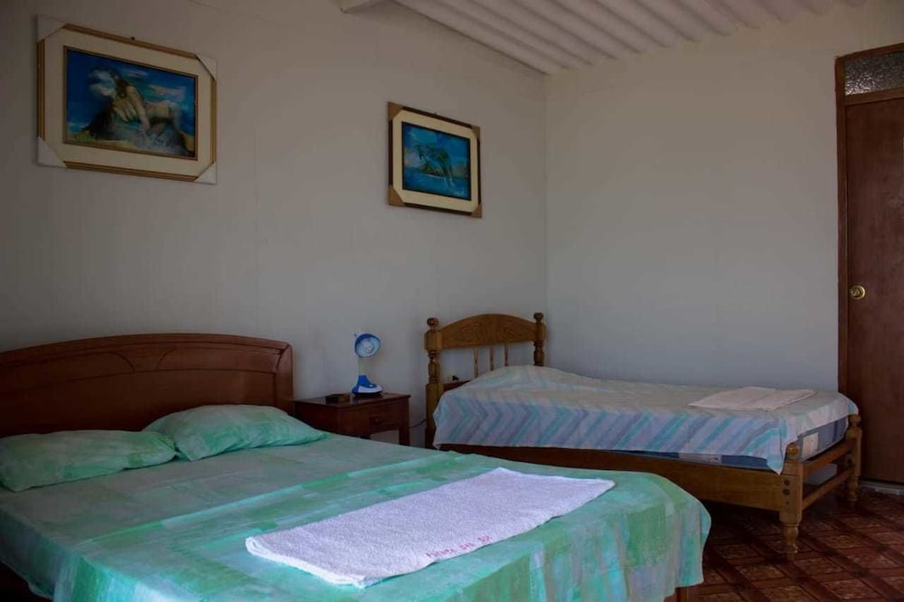 Twin Room photo 1