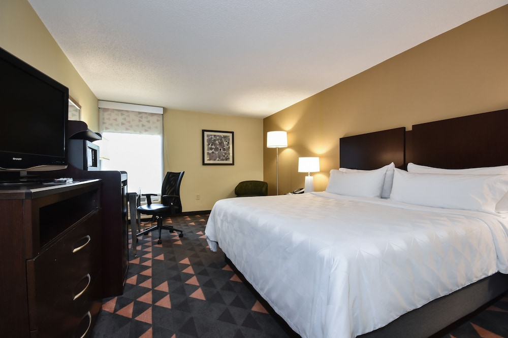 Standard Room, 1 King Bed, Accessible (Mobility Tub) - Photo 2