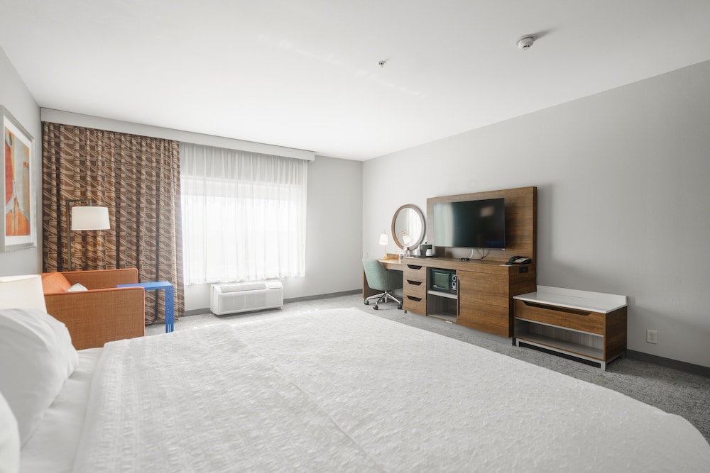 Studio Suite, 1 King Bed, Non Smoking photo 1