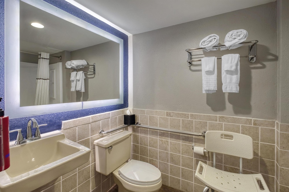 Standard Room, 1 King Bed, Accessible, Refrigerator & Microwave - Photo 4
