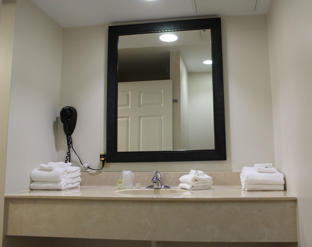 Superior Suite, 1 King Bed with Sofa bed, Kitchen, Ground Floor