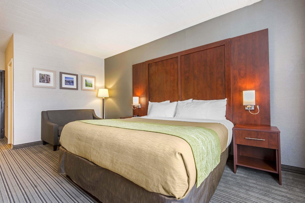 Room, 1 King Bed photo 1