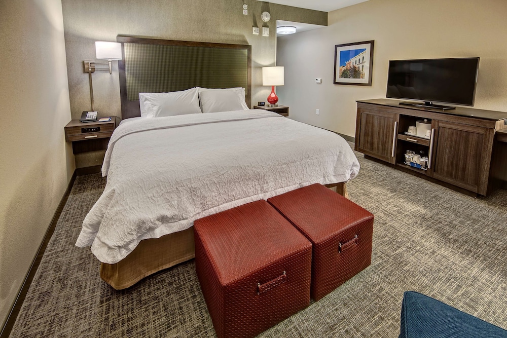 Ada Accessible, Room, 1 King Bed, Accessible, Refrigerator