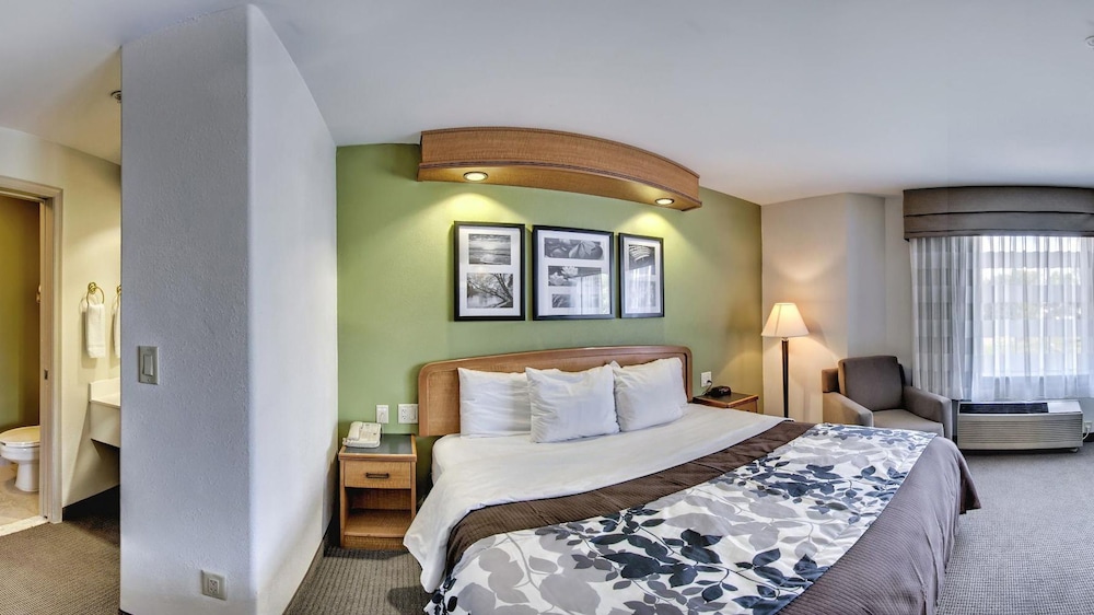 Standard Room, 1 King Bed, Non Smoking photo 3