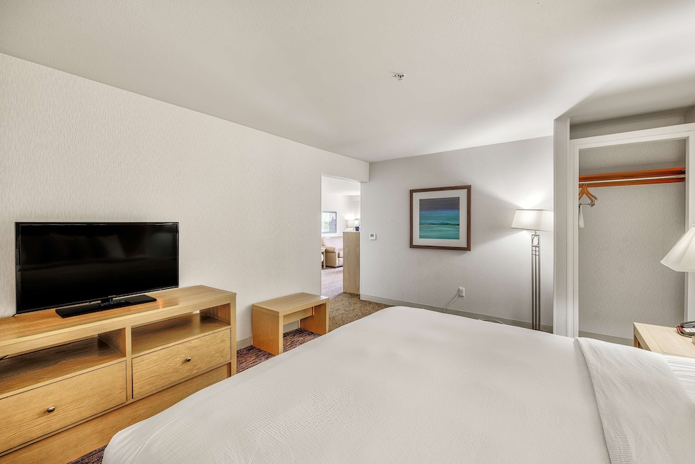 Room, 1 King Bed, Accessible