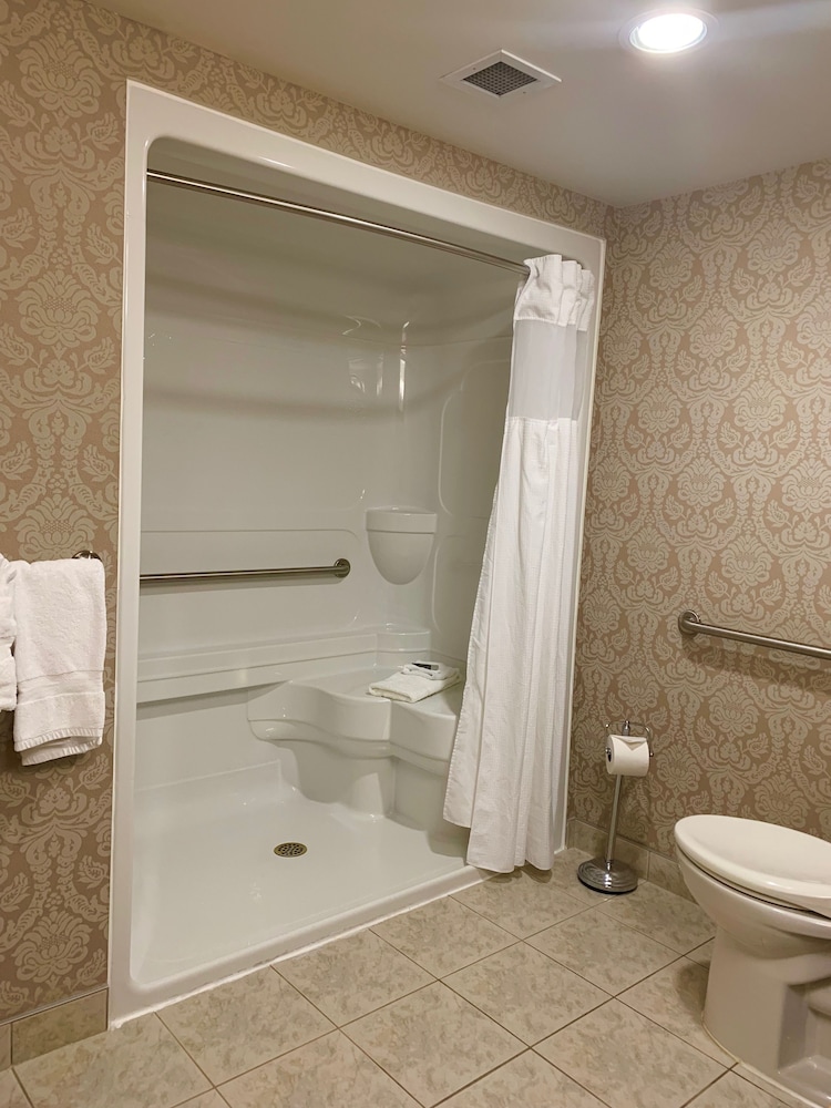 Room, 1 King Bed, Accessible, Non Smoking (City View) - Photo 8