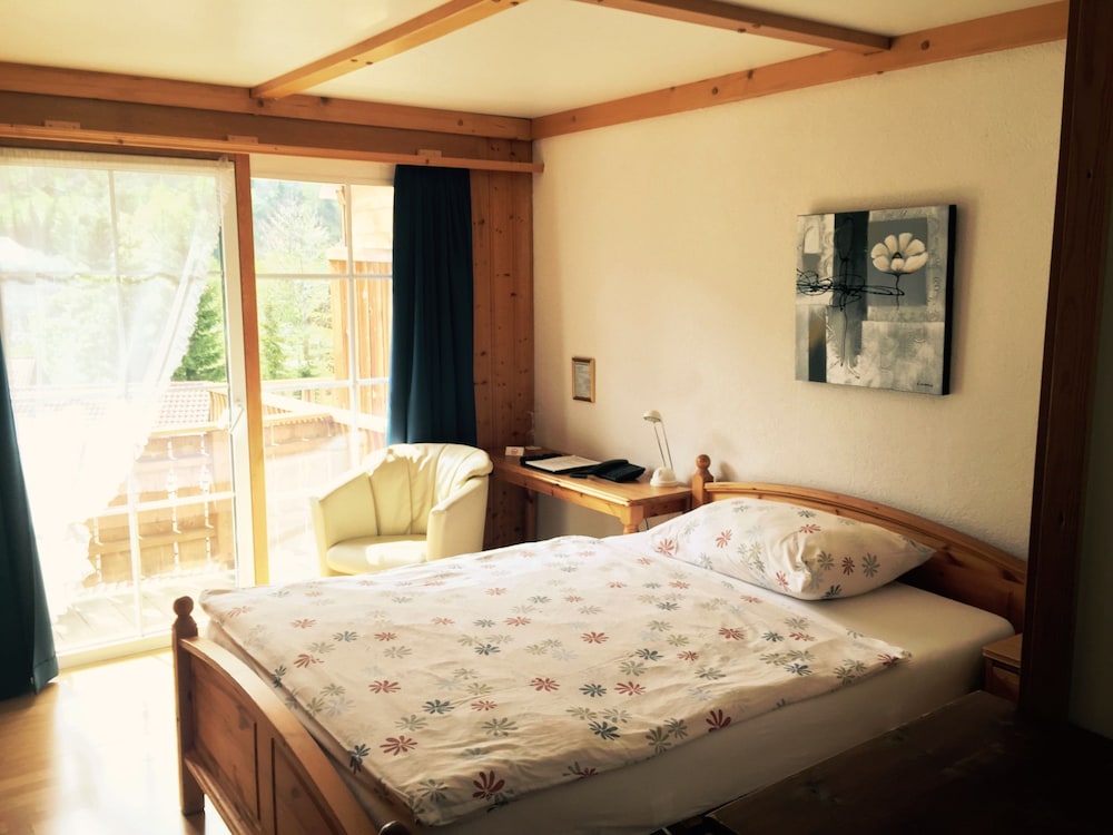 Single Room, Balcony, Mountain View photo 3
