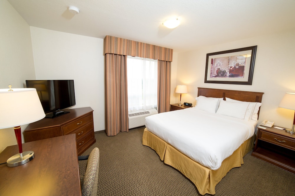 Suite, 1 King Bed - Photo 1