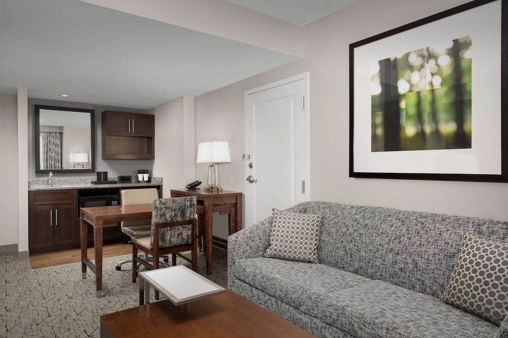 King Studio Suite photo 2
