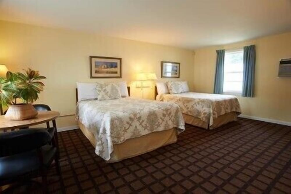 Room, 2 Double Beds