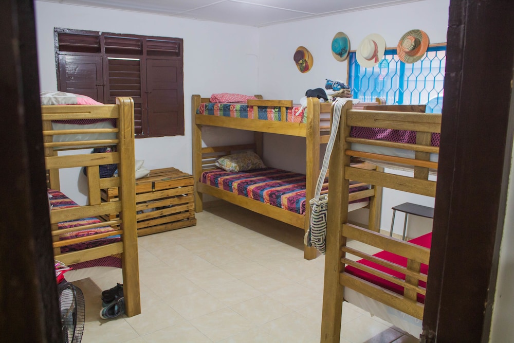 Basic Shared Dormitory photo 1