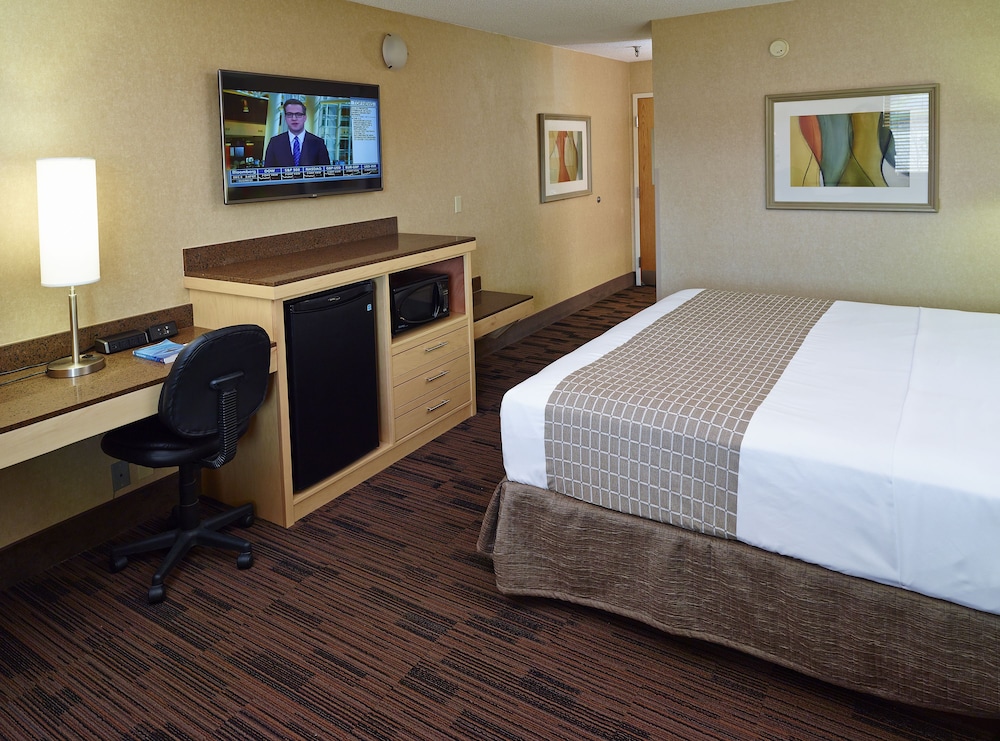 Premium Room, 1 King Bed, Accessible, Non Smoking - Photo 3